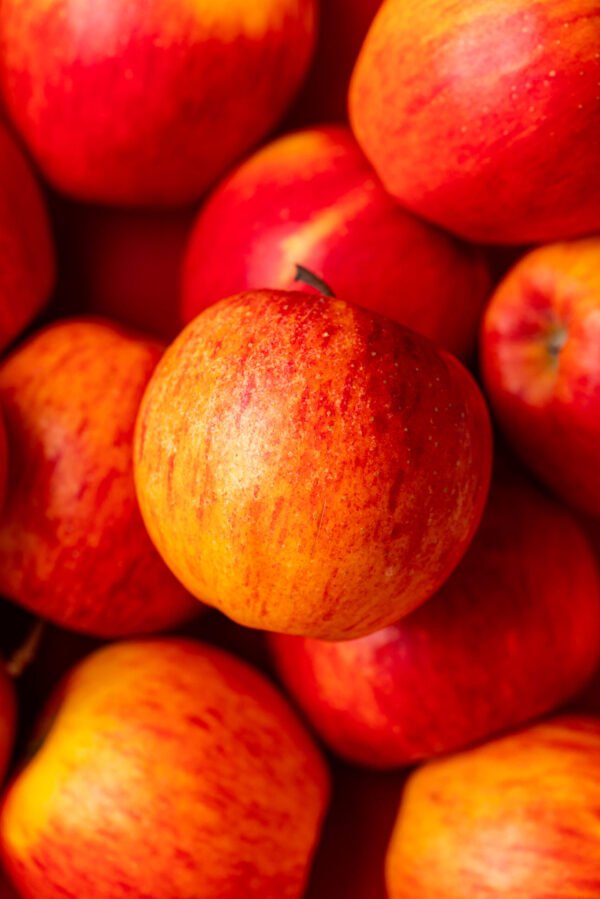 N°2 Erable Pomme – Image 3